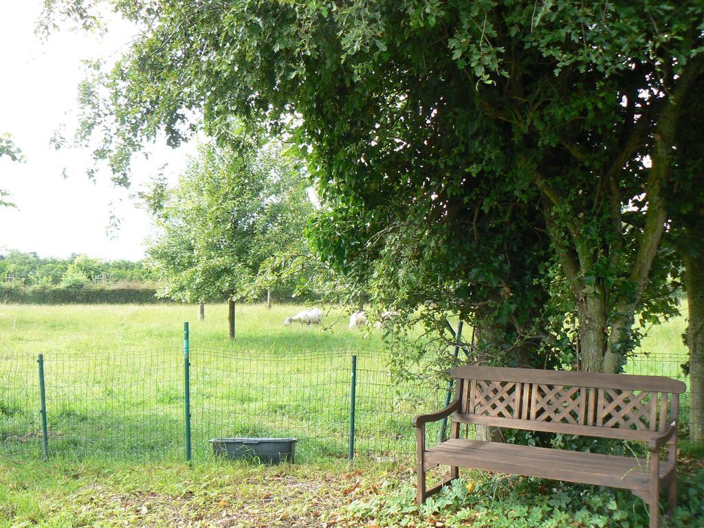 Oudenburg B&B 'T Wit Reigertje المظهر الخارجي الصورة