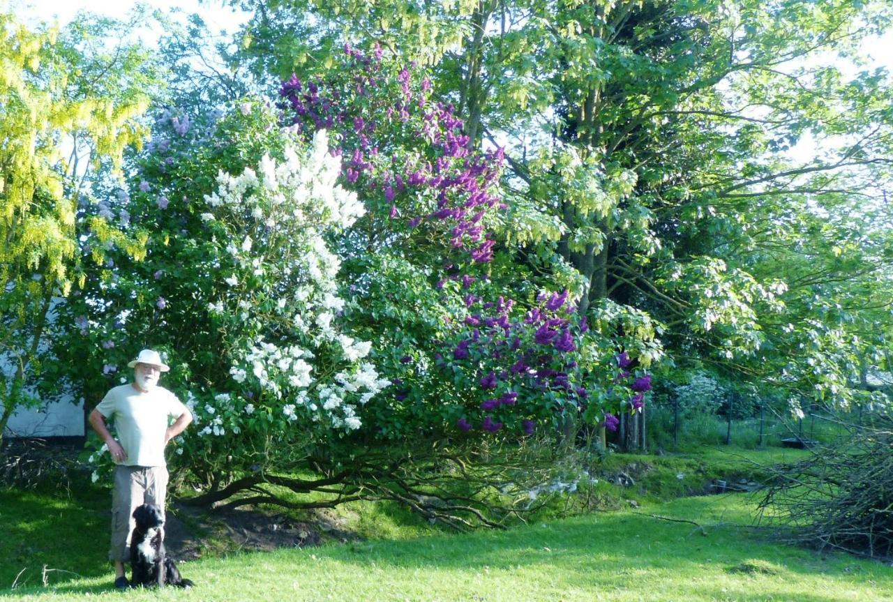 Oudenburg B&B 'T Wit Reigertje المظهر الخارجي الصورة